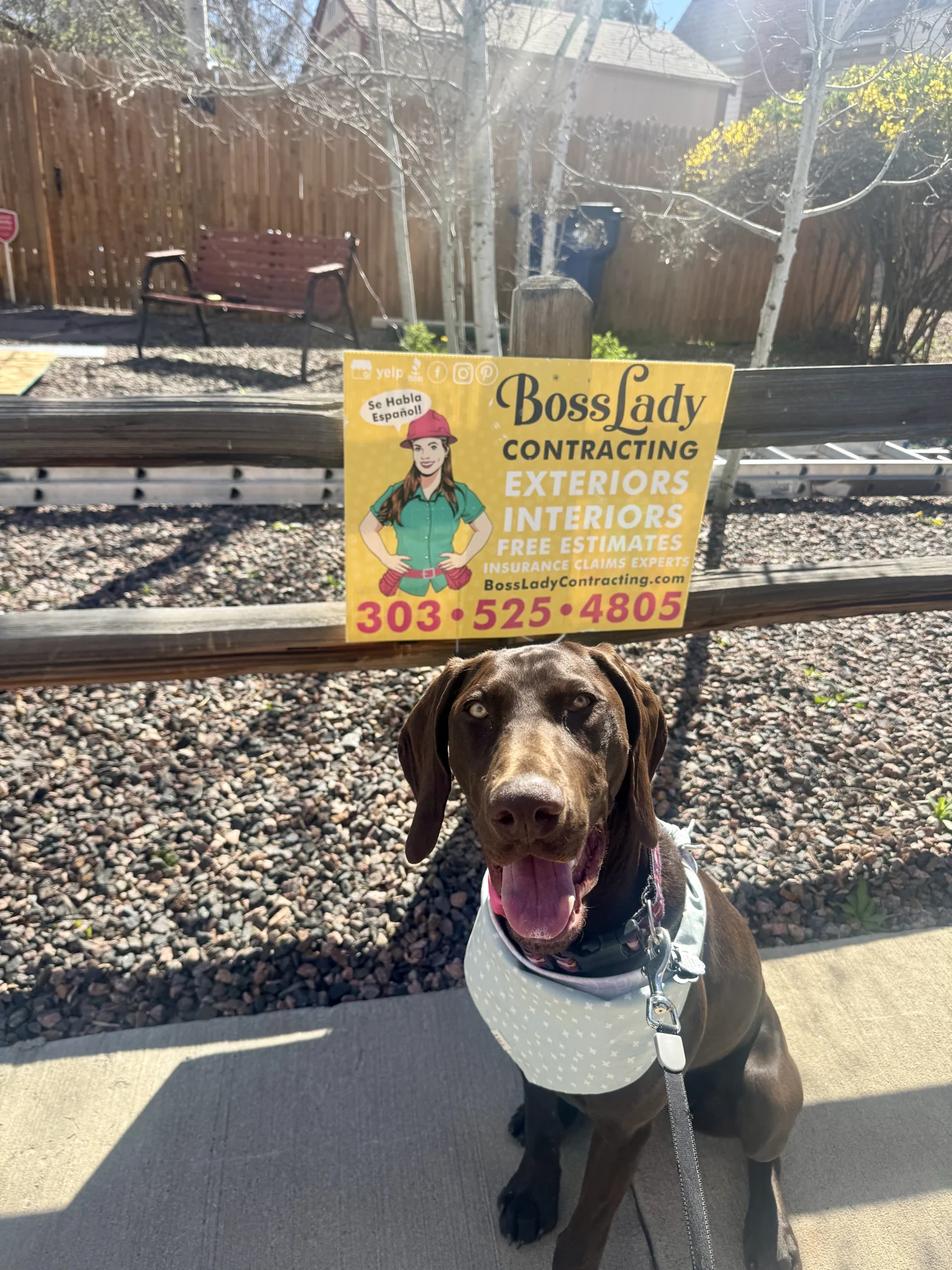 Ruby supervising a BossLady Contracting Colorado job site, photo 2